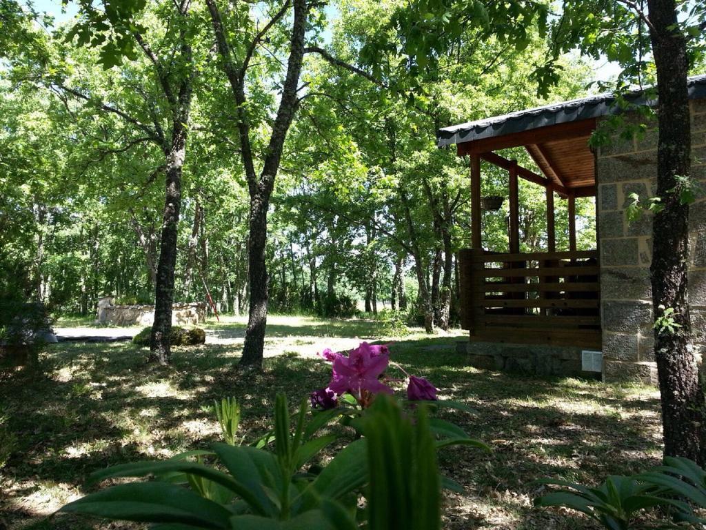 Cabanas Vallecino Manzanal de los Infantes Eksteriør bilde