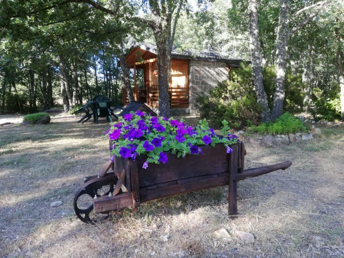 Cabanas Vallecino Manzanal de los Infantes Eksteriør bilde