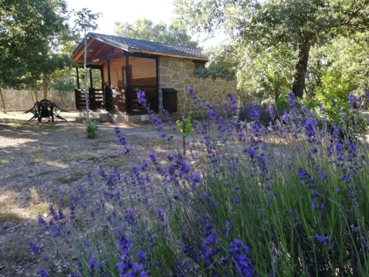 Cabanas Vallecino Manzanal de los Infantes Eksteriør bilde