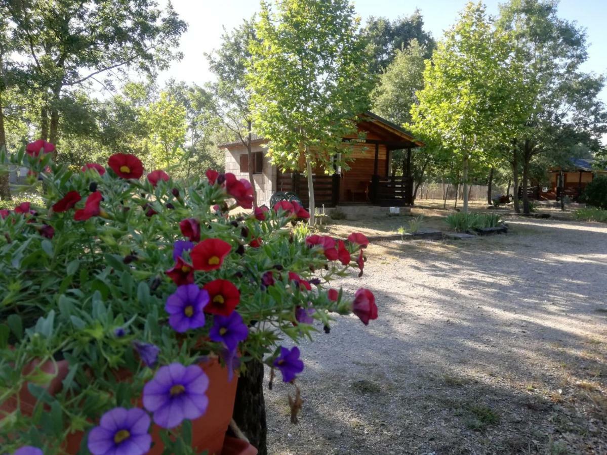Cabanas Vallecino Manzanal de los Infantes Eksteriør bilde